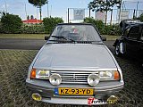 Zandlemig Vlaanderen